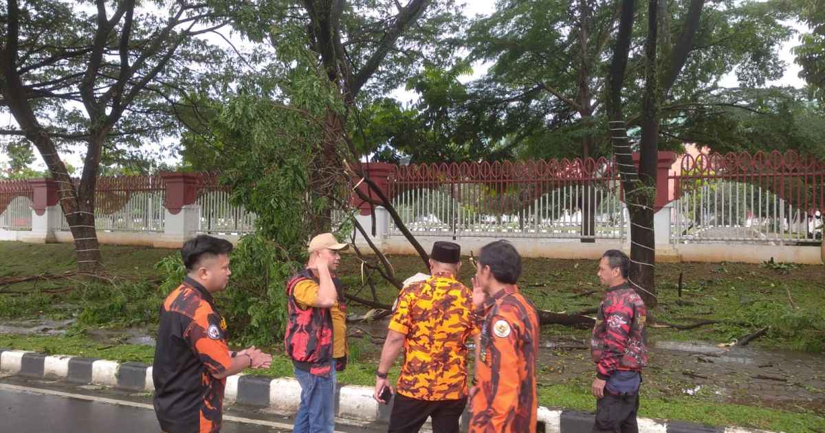 Gercep,  Pemuda Pancasila Turut Evakuasi Pohon Tumbang di Seputaran Stadion Pakansari