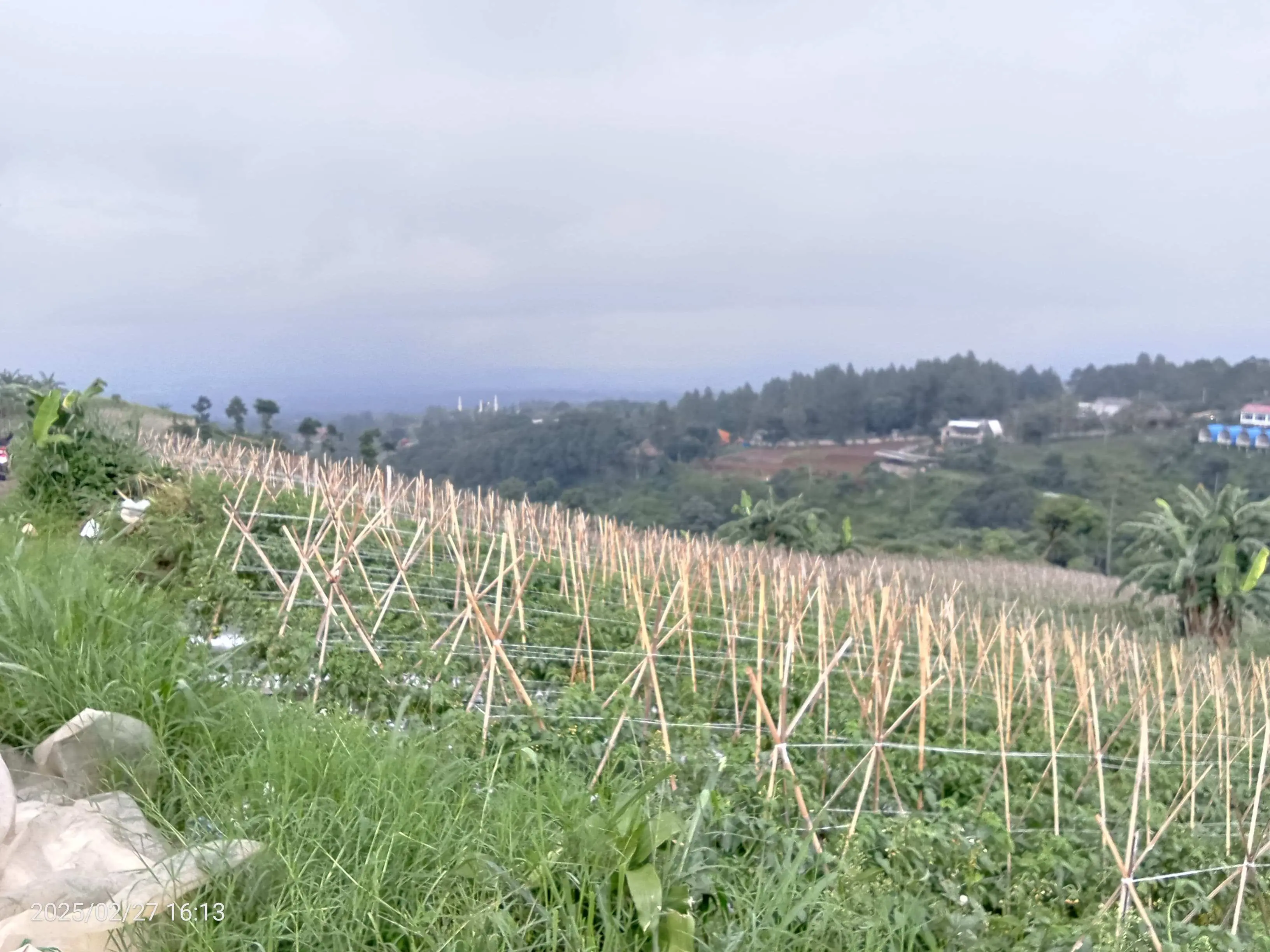 Tanah Garap di Pancawati, UK: Bukan Hanya Dirinya Garap Tanah Milik yang Lain